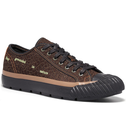Brown/Black